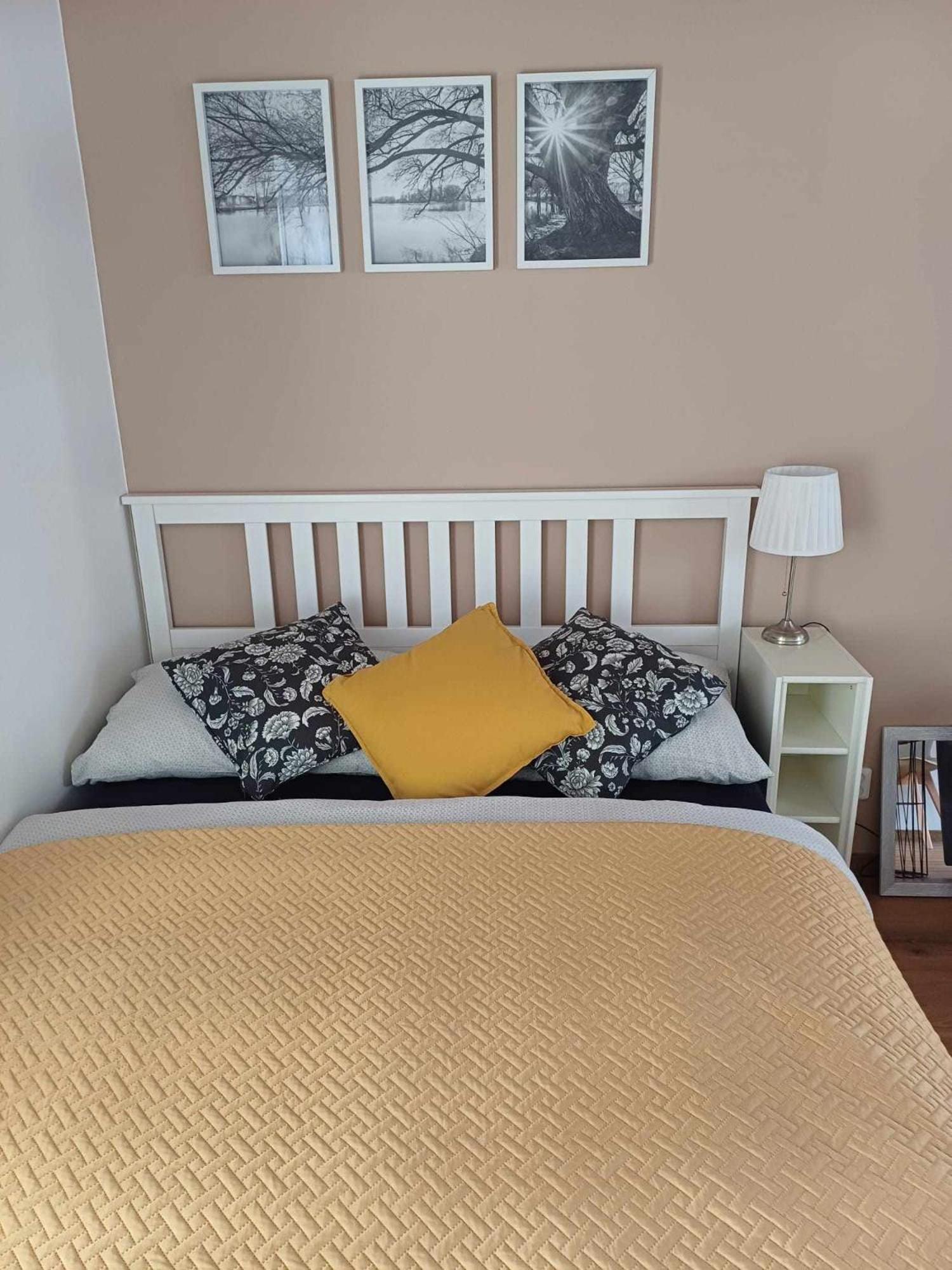 Apartmany Machovo Jezero Stare Splavy Luaran gambar